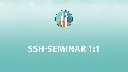 SSH-Seminar 1:1 (für deine Mitarbeiter)